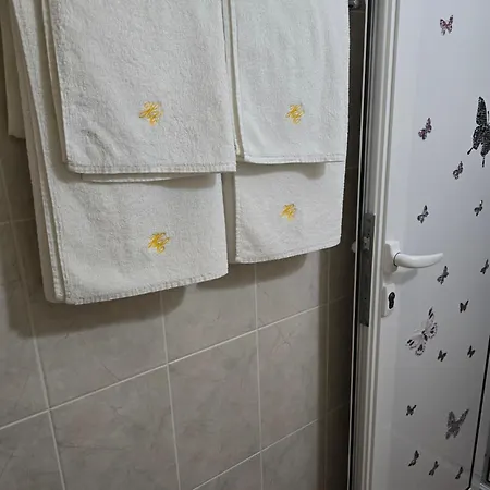Guest house Stephanovy 2*