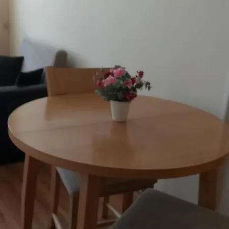 Guest house Stephanovy 2*